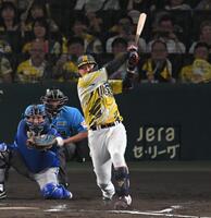 ６回、勝ち越しの２点適時打を放つ大山（撮影・飯室逸平）