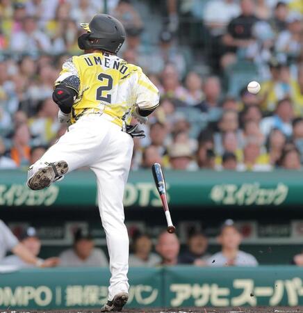 ２回、死球を受ける梅野（撮影・西田忠信）