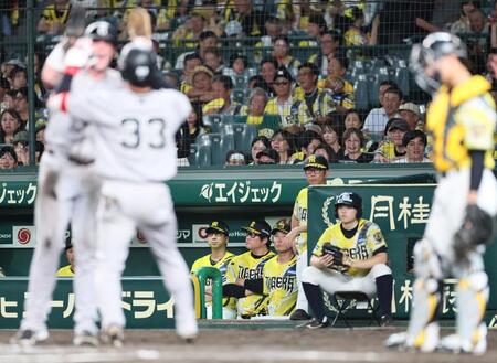 １０回、勝ち越し２ランを放った小浜の生還を見つめる藤川監督（撮影・田中太一）