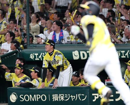 ９回、森下の同点犠飛で負けが消えた才木（撮影・田中太一）