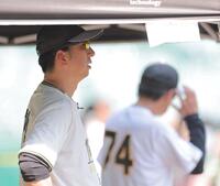 試合前練習を見る藤川監督（撮影・西田忠信）