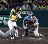 ４回、左前打を放つ元山（撮影・山口登）