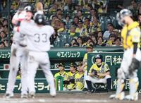 １０回、勝ち越し２ランを放った小浜の生還を見つめる藤川監督（撮影・田中太一）