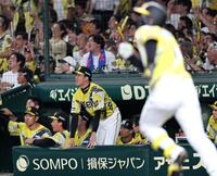 ９回、森下の同点犠飛で負けが消えた才木（撮影・田中太一）