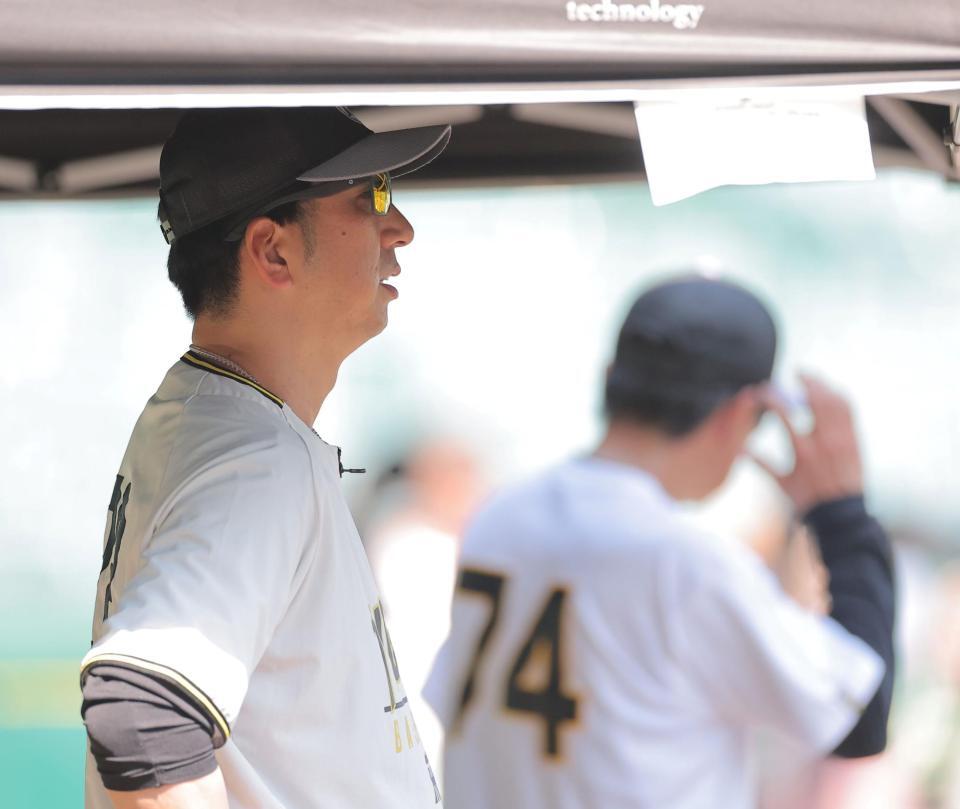 試合前練習を見る藤川監督（撮影・西田忠信）
