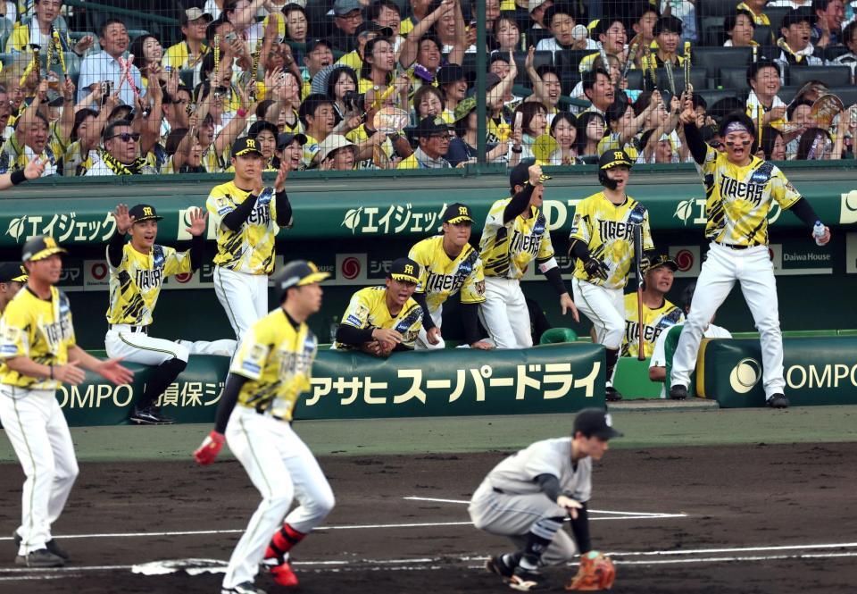２回、才木が送りバントを決め、巨人の守備が乱れて先制、盛り上がる森下（右端）らナイン（撮影・山口登）