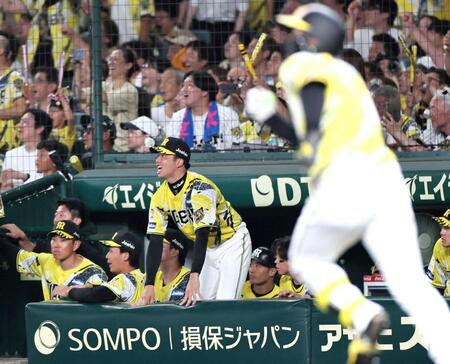 　９回、森下の同点犠飛で負けが消えた才木（撮影・田中太一）