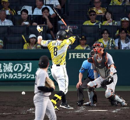 ３回、死球を受ける佐藤輝（撮影・山口登）
