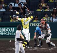 ３回、死球を受ける佐藤輝（撮影・山口登）