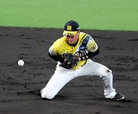 ４回、小浜の打球をファンブルする元山（撮影・立川洋一郎）