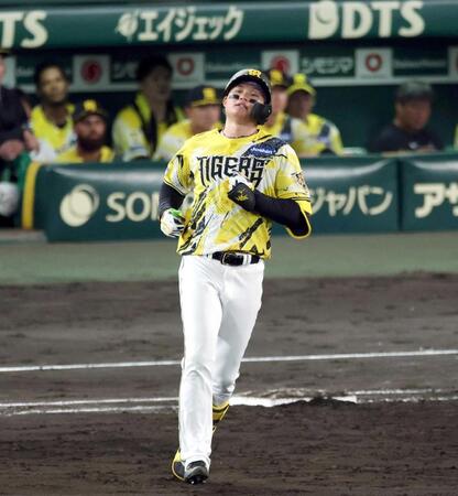 　５回、左飛に倒れた森下（撮影・山口登）