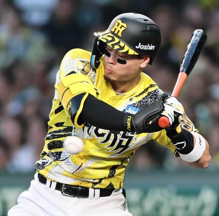　３回、死球を受ける佐藤輝（撮影・田中太一）