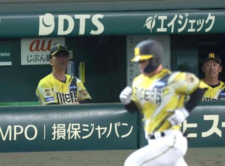 ９回、坂本が倒れ試合終了し、グラウンドを見つめる藤川監督（撮影・山口登）