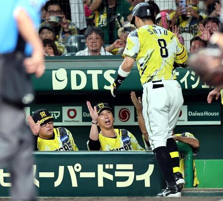 ６回、ソロを放った佐藤輝を迎える藤川監督（撮影・田中太一）