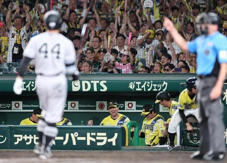 勝利の瞬間、ベンチでガッツポーズを繰り出す藤川監督（撮影・田中太一）