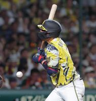 ６回、死球を受ける大山（撮影・西田忠信）