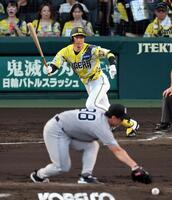 ３回、遊内野安打を放つ近本（撮影・山口登）