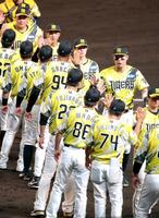藤川監督（中央左）と勝利のタッチを交わす佐藤輝（同右）＝撮影・立川洋一郎