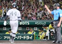 勝利の瞬間、ベンチでガッツポーズを繰り出す藤川監督（撮影・田中太一）