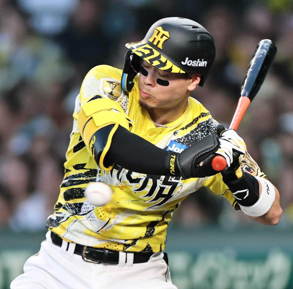 　３回、死球を受ける佐藤輝（撮影・田中太一）