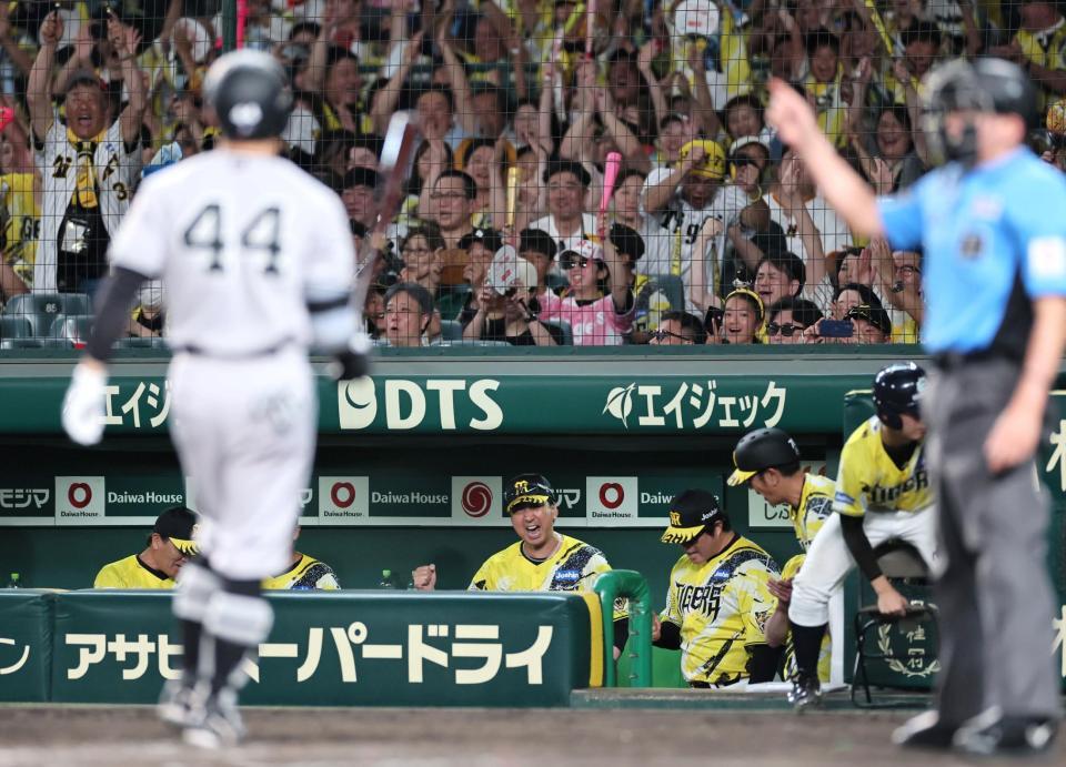 勝利の瞬間、ベンチでガッツポーズを繰り出す藤川監督（撮影・田中太一）