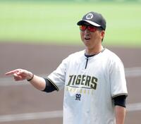 試合前練習を見る藤川監督（撮影・西田忠信）