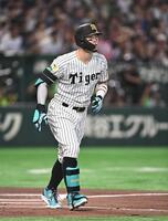 １回、先制の右越えソロを放ち打球を見つめる佐藤輝（撮影・開出牧）