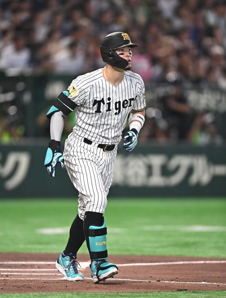 １回、先制の右越えソロを放ち打球を見つめる佐藤輝（撮影・開出牧）