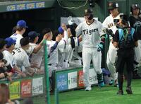 ８回、２ランを放ちナインに迎えられる大山（撮影・金田祐二）
