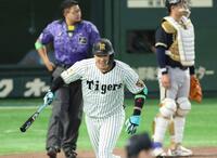 ８回、２ランを放ち喜ぶ大山（撮影・金田祐二）