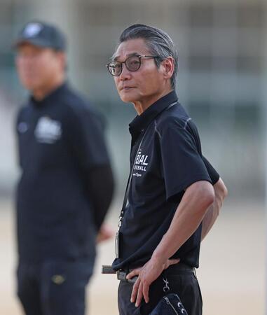 練習を見つめる阪神・嶌村聡球団本部長（撮影・中田匡峻）
