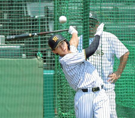 　フリー打撃で快音を響かせる立石（撮影・立川洋一郎）