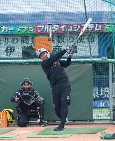 フリー打撃で汗を流す森下（撮影・金田祐二）