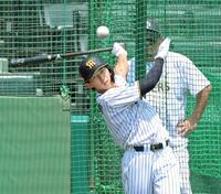 　フリー打撃で快音を響かせる立石（撮影・立川洋一郎）