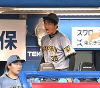 ５回を投げ終えてベンチで雄たけびを上げる才木（撮影・堀内翔）