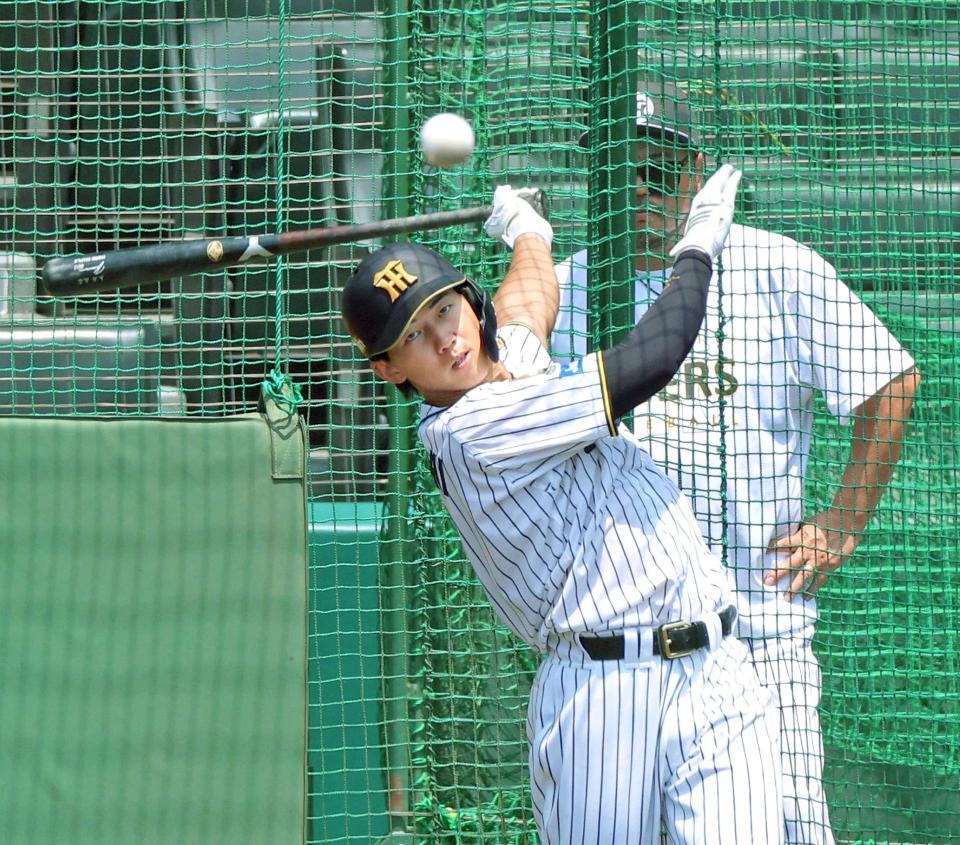 　フリー打撃で快音を響かせる立石（撮影・立川洋一郎）