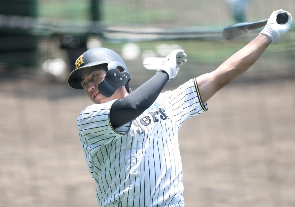 打撃練習をする立石（撮影・中田匡峻）