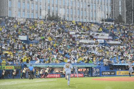 １回、降雨中断する神宮球場（撮影・堀内翔）