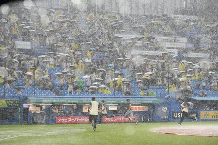 １回、降雨中断する神宮球場（撮影・堀内翔）
