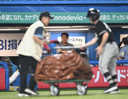 ２回途中、グランド整備を見つめる大山（撮影・堀内翔）