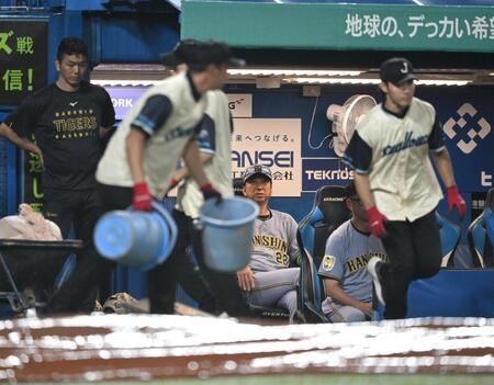 ２回途中、中断中のグランド整備を見つめる藤川監督（撮影・堀内翔）