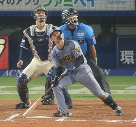 ６回、３ランを放つ坂本（撮影・金田祐二）