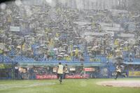 １回、降雨中断する神宮球場（撮影・堀内翔）