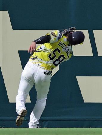 ４回、仲田の打球を背走して好捕する左翼手・前川（撮影・立川洋一郎）
