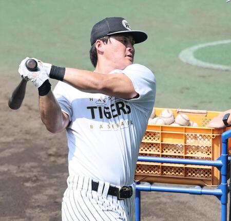 デイリースポーツ 主要ニュース