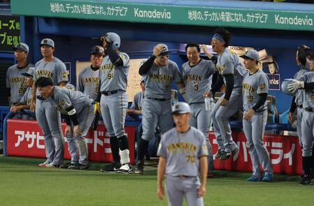 ９回、坂本の勝ち越しソロで盛り上がる阪神ベンチ（撮影・金田祐二）