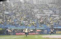　１回、降雨中断する神宮球場（撮影・堀内翔）