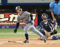 ４回、左越えソロを放つ坂本（撮影・金田祐二）
