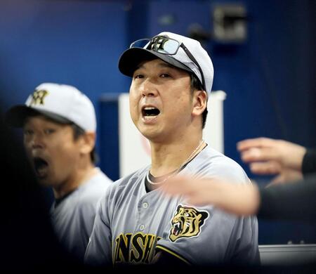 ９回、元山の安打で粘りを見せ、声を出す藤川監督（撮影・田中太一）