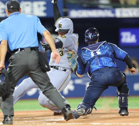 　７回、元山の左前打で本塁を突くもアウトになる大山（撮影・西岡正）